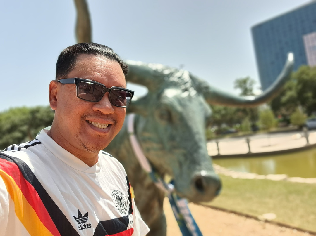 Dallas Cattle Drive Sculptures-达拉斯必去景点