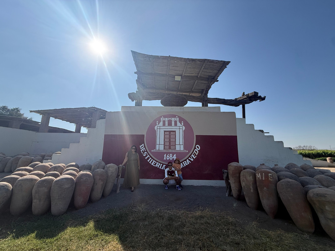 酒店和Hacienda La Caravedo农场主图