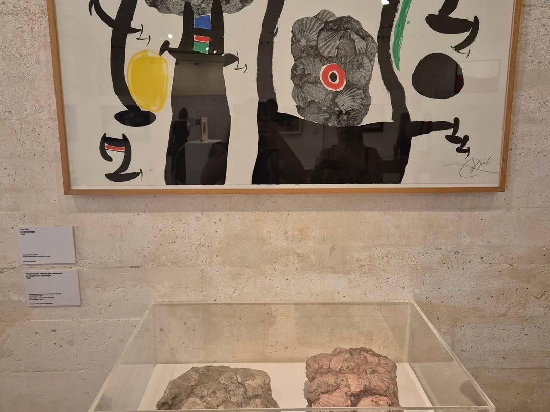 Fundació Miró Mallorca-马洛卡帕尔马必去景点