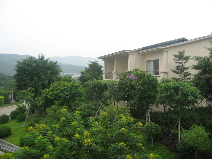 高明富湾湖酒店-客卧