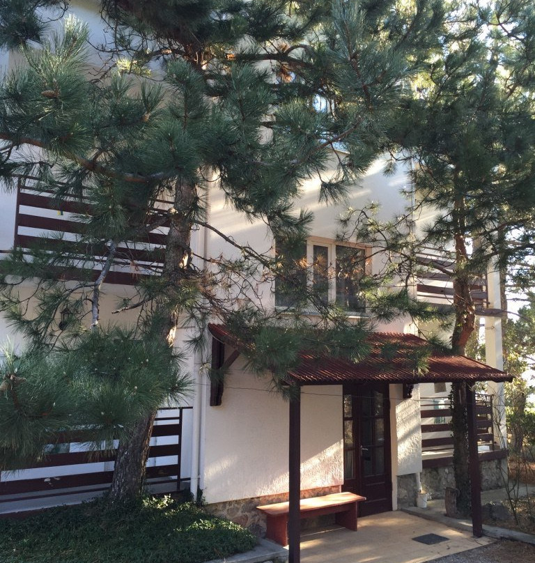 Guest House Lisya Nora