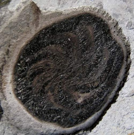 贵州地质博物馆