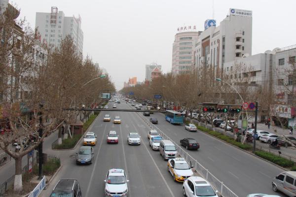 阿克苏东方国际大酒店-客卧