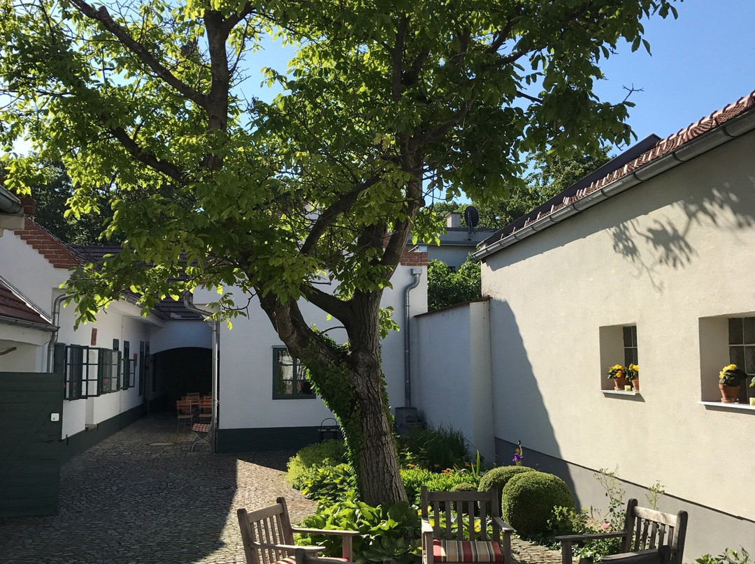 Frauenkirchen酒店住宿-Bliem's Wohnreich