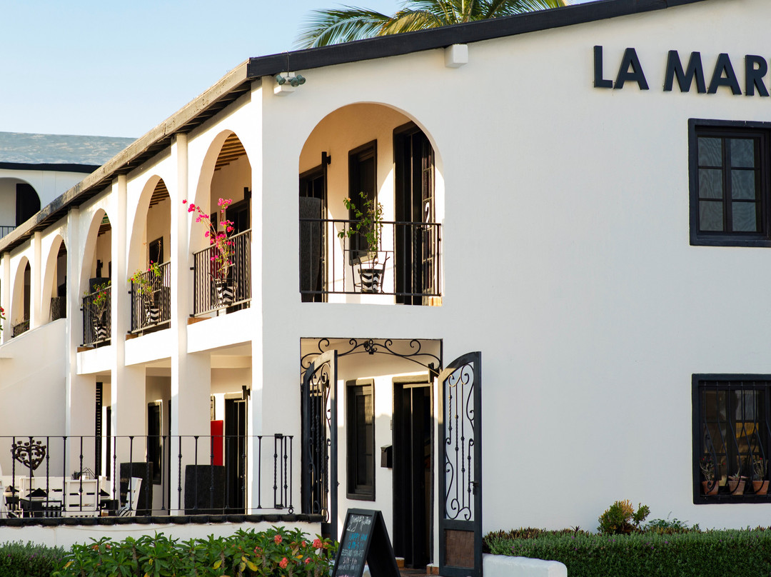 Animas Bajas酒店住宿-La Marina Inn