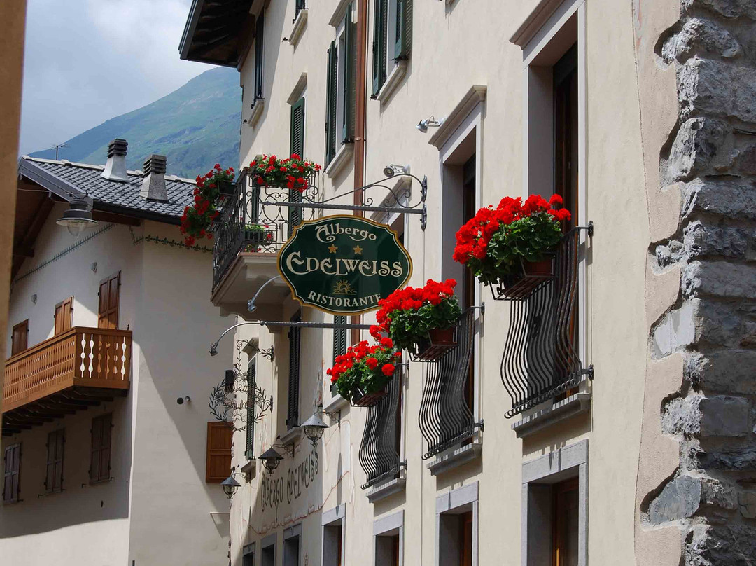 Vilminore di Scalve酒店住宿-Albergo Edelweiss