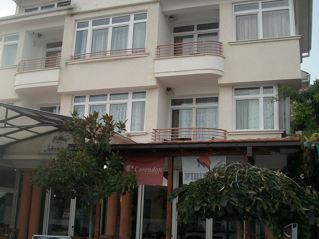 奥赫里德酒店住宿-阿勒克桑德丽亚酒店