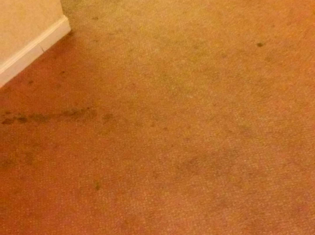 Holiday Inn Express & Suites Birmingham-Irondale (East) by IHG