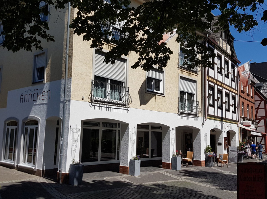 巴特诺因阿尔-阿尔韦勒酒店住宿-Hotel Aennchen