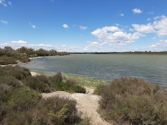 Etang du Ponant景点图片