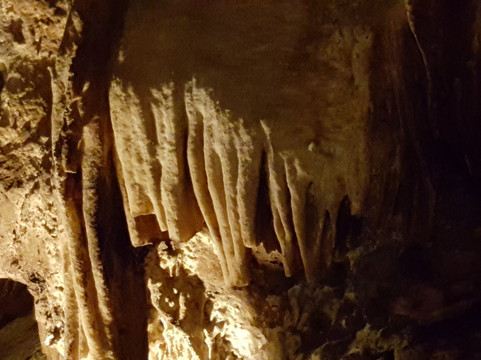 Colossal Cave Mountain Park