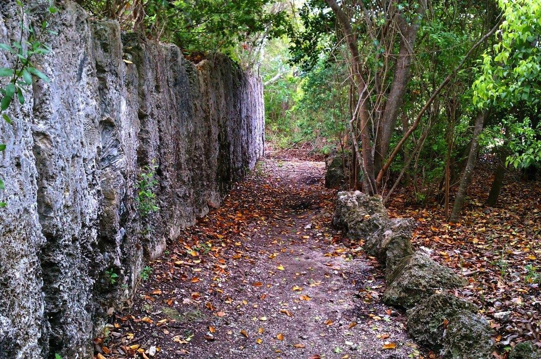 Windley Key Fossil Reef Geological State Park景点图片