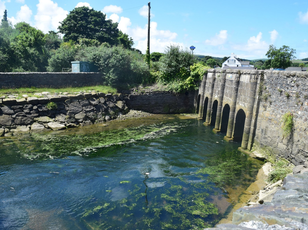 RSPB Hayle Estuary