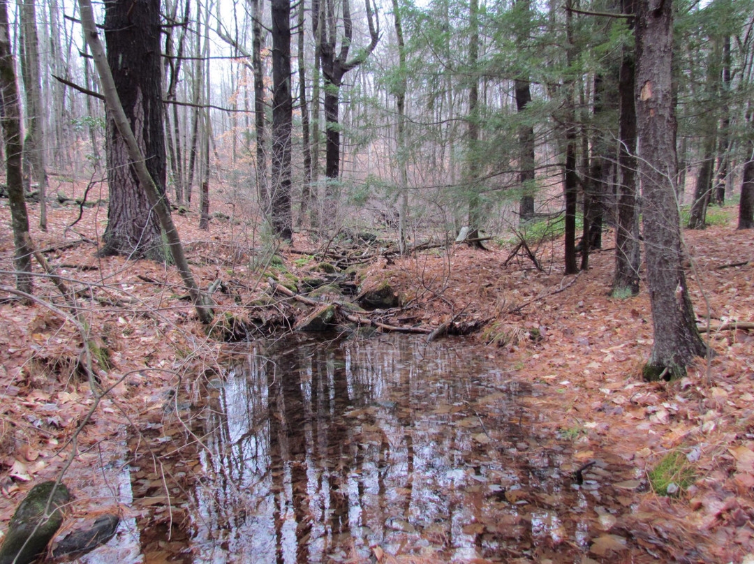 Flat Rock Wildlife Sanctuary