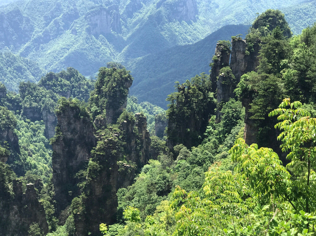 张家界旅游攻略图片