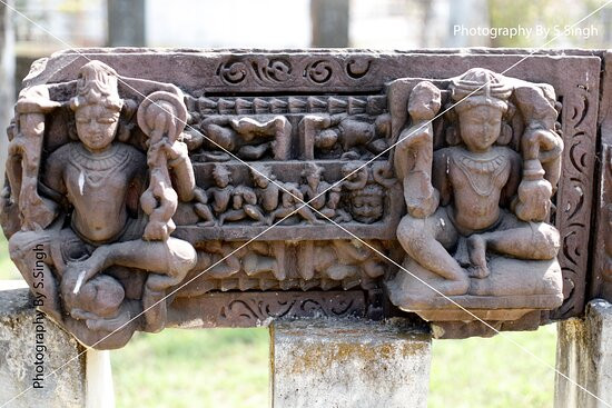 Rani Durgavati Museum景点图片