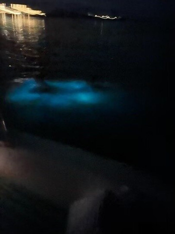 Dream Tours Limited-蒙特戈贝必去景点