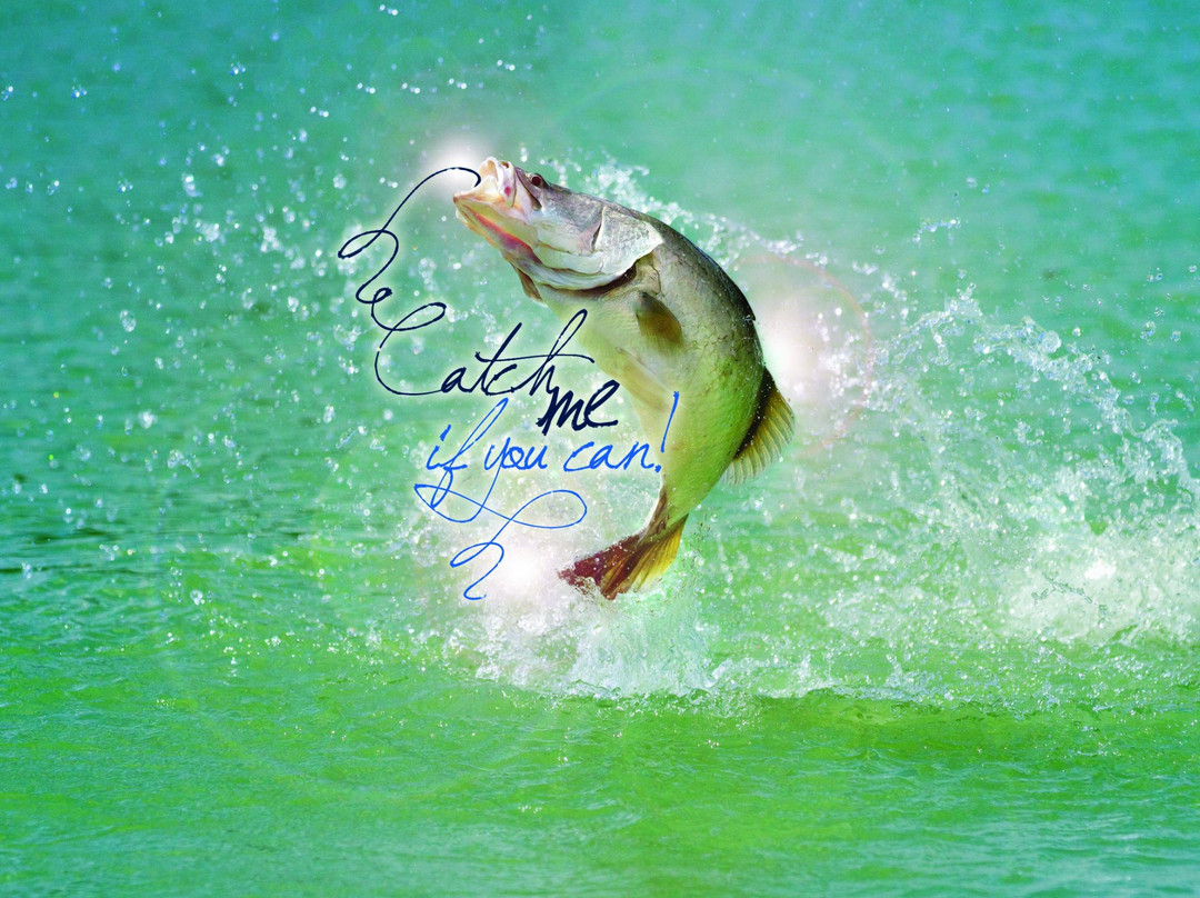 Hook-A-Barra-Wonga Beach必去景点