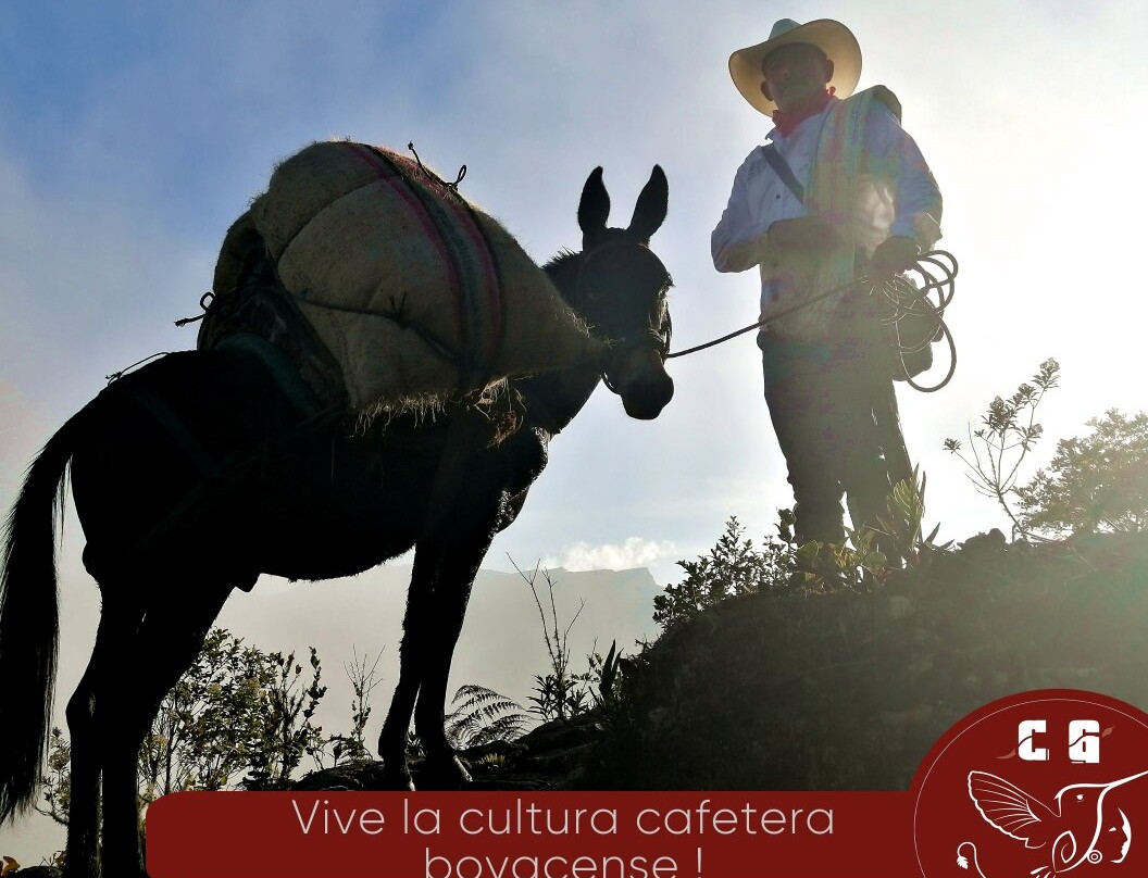 Cazique Guanatá CG Café-Zetaquira必去景点