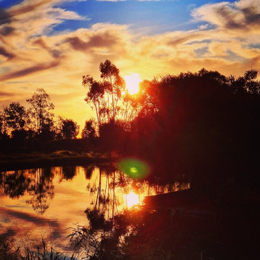 Cunnamulla Bushlands-Cunnamulla必去景点