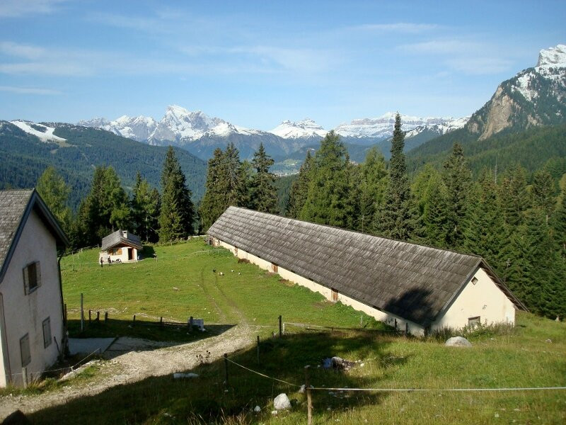 Malga Fiorentina景点图片