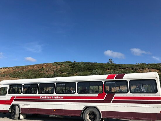 The Denali Tour Experience-德纳利国家公园和自然保护区必去景点