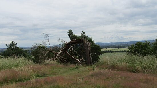 Haughmond Hill-什鲁斯伯里必去景点