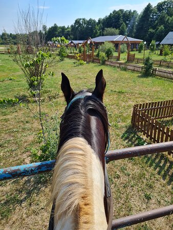 Lukomorye-Zolotarevka必去景点