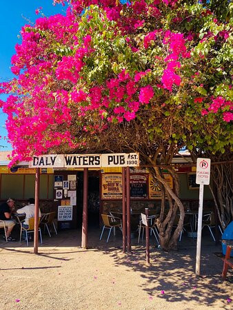 Daly Waters Pub-Daly Waters必去景点