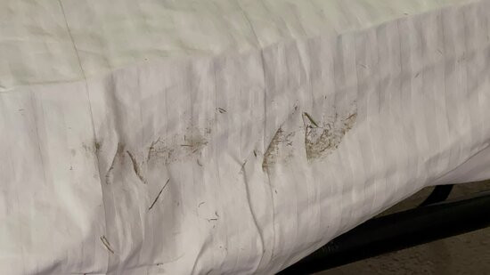 Best Western Plus Lee's Summit Hotel & Suites主图