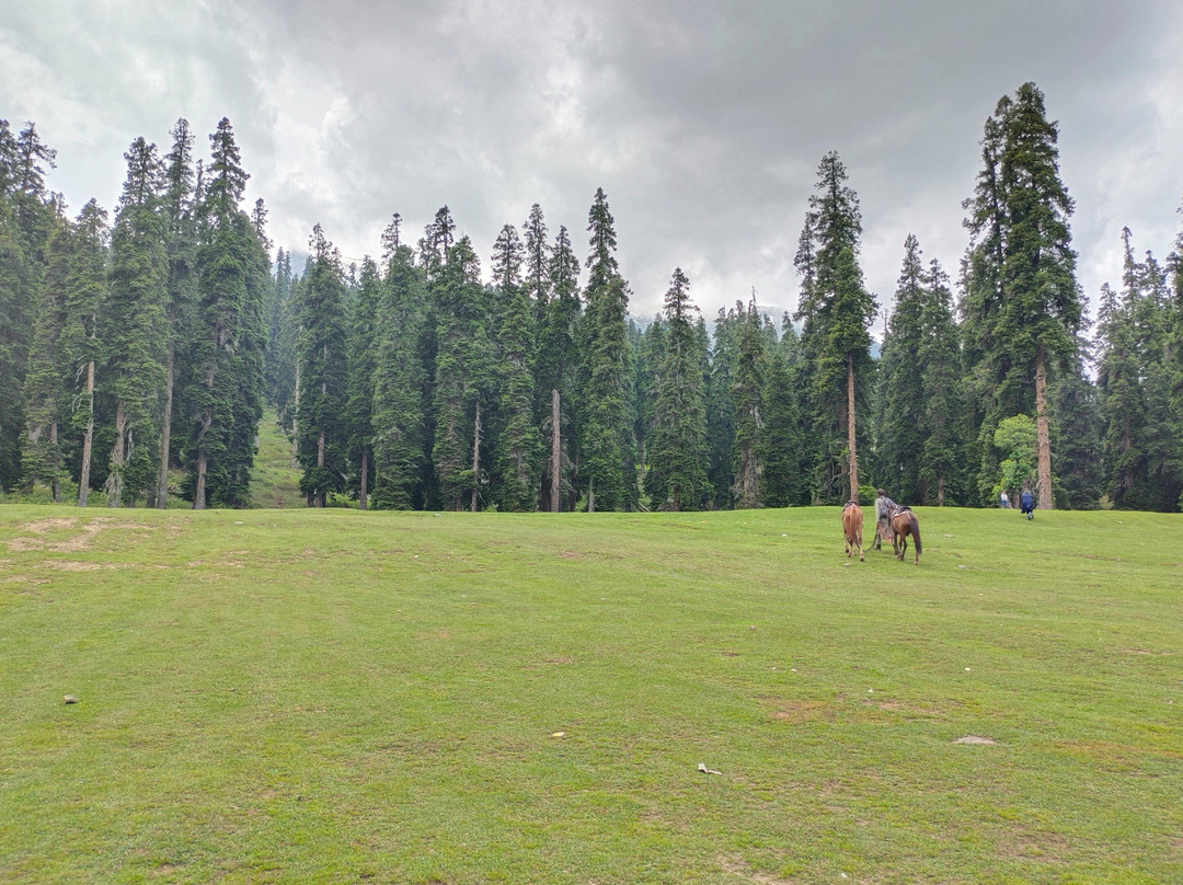 Beyond Road Tours-新德里必去景点