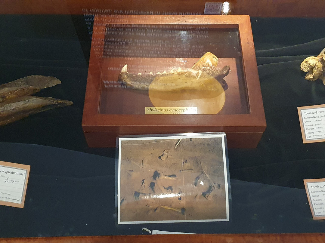 Naracoorte Visitor Information Centre