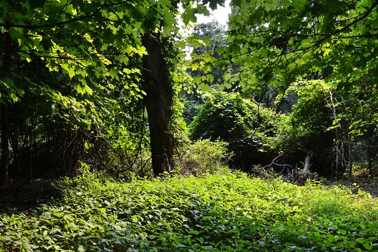 Historic Morley Farm-Kirtland必去景点