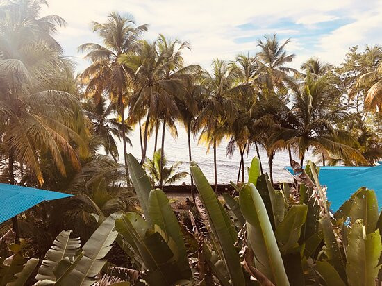 The Firefly Bocas Del Toro主图