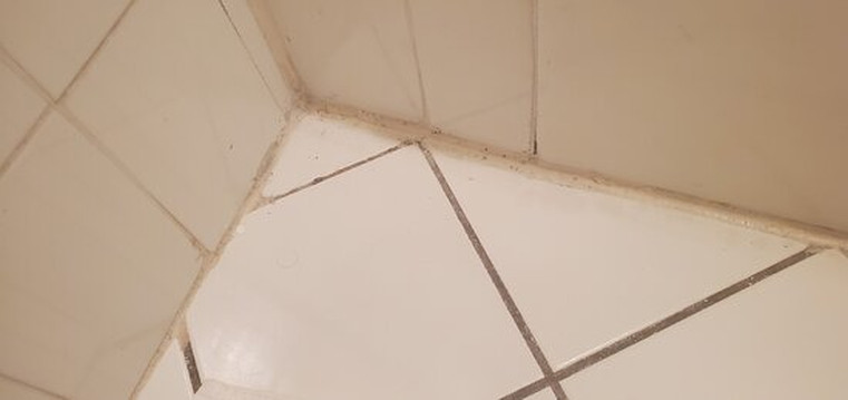 Hotel Chateaubleau主图