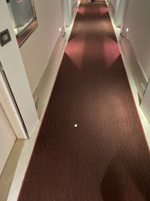 RMH Lopud Lafodia主图