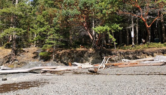Baker Beach Park-马德拉公园镇必去景点