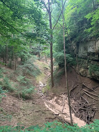 Cedar Sink Trail景点图片