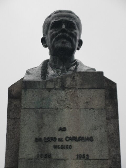 Busto Do Doutor Lopo De Carvalho景点图片