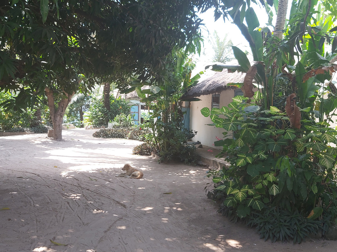 Paradise Campement Auberge