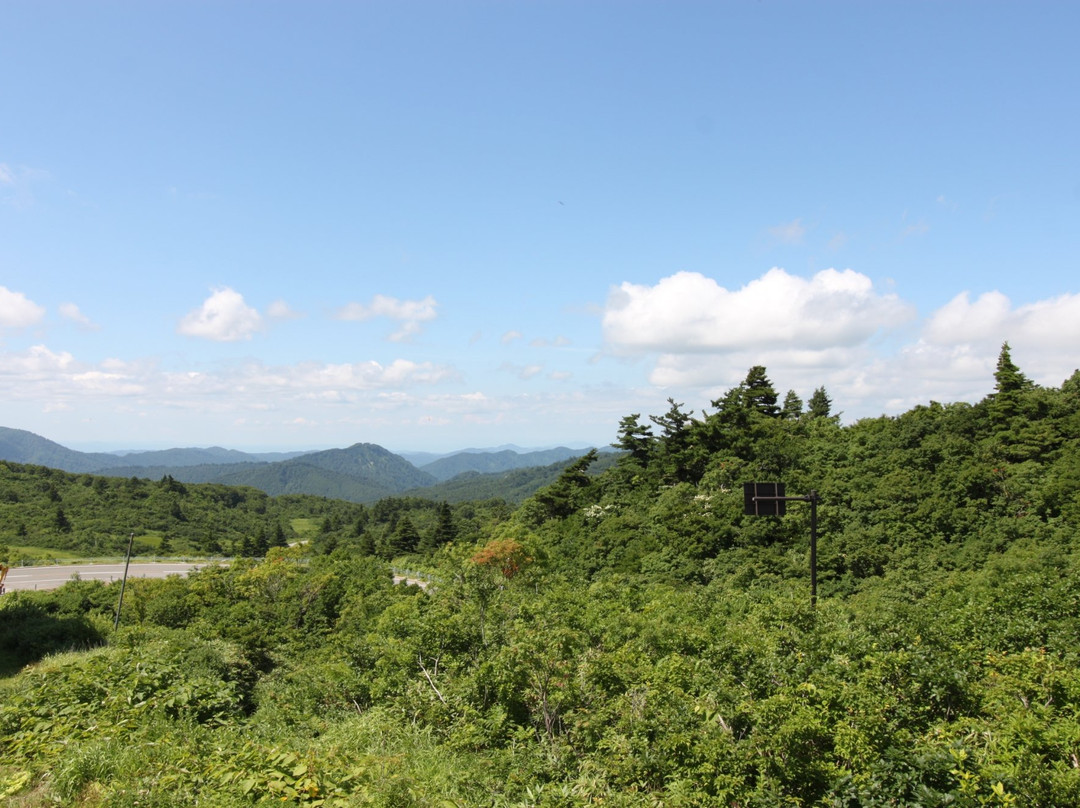 雄胜郡旅游攻略图片