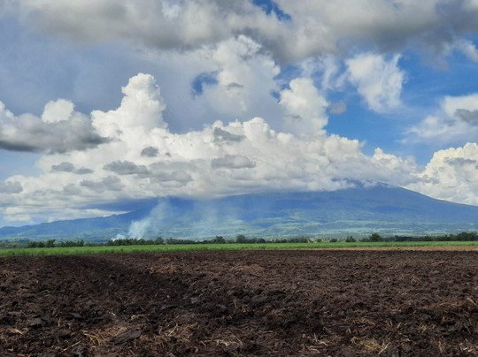 探索Moises Padilla