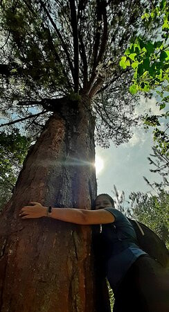 Villa Luney-恩维加多必去景点