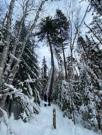 Big Pines Trail景点图片