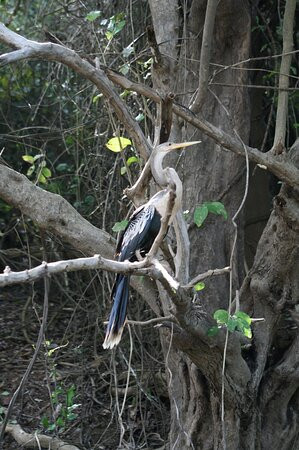 Sunset Travel-Rurrenabaque必去景点