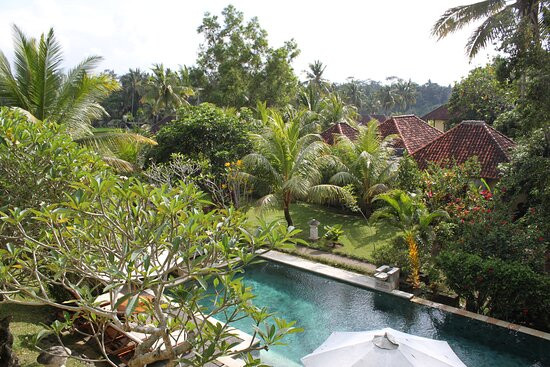 布和丝娃度假村主图