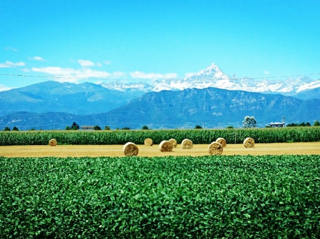 Agriturismo Il Riccio Verde Di Corrente Daniela