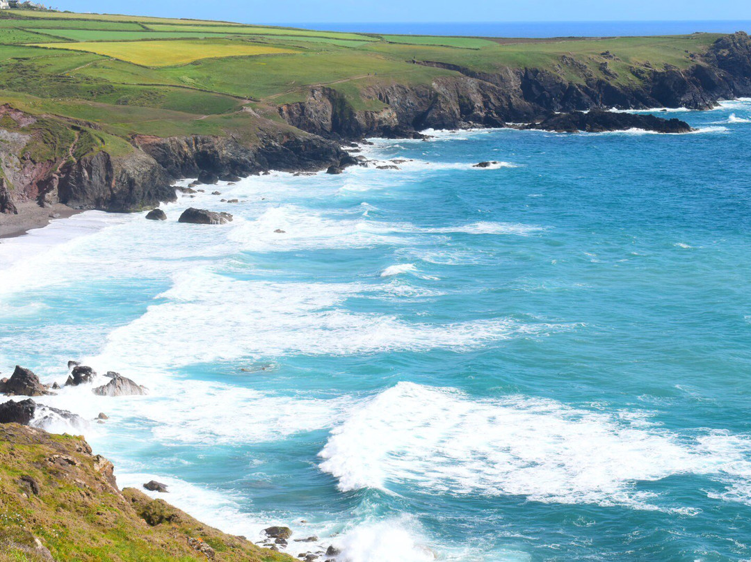 Lizard旅游攻略图片