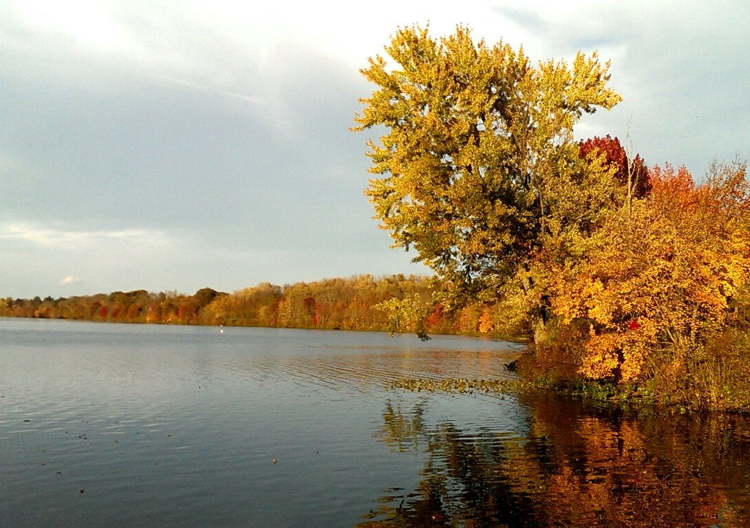 普林斯顿旅游攻略图片