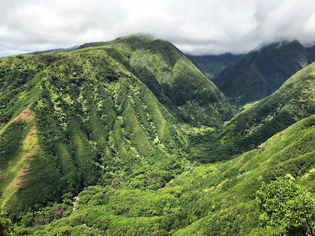 Waihee旅游攻略图片